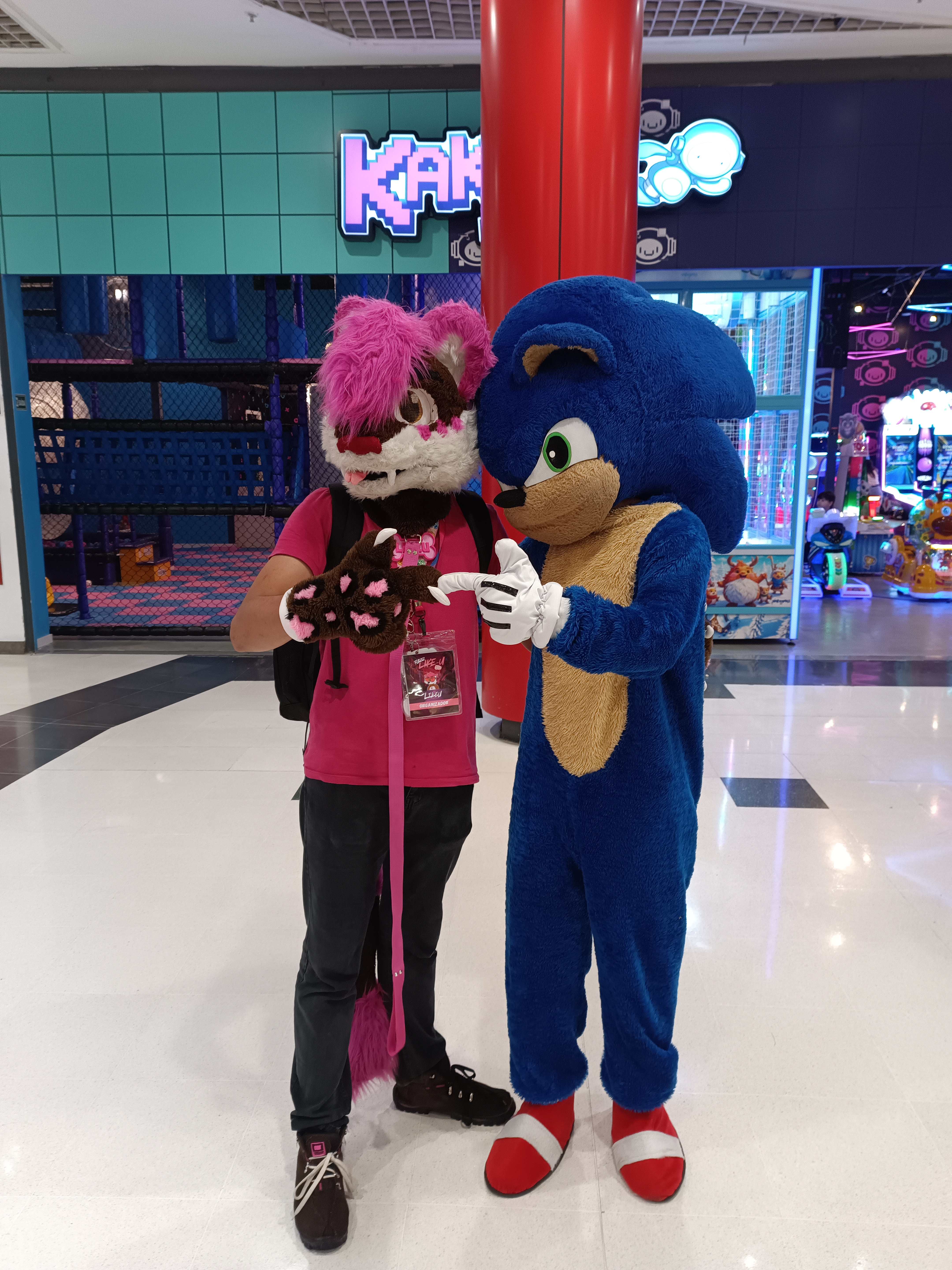 FurrLike-U no Piqueri - LikeU com Sonic